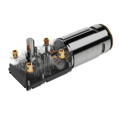 Motor de engrenagem de minhoca de corrente personalizada de 24v DC Shell de plástico