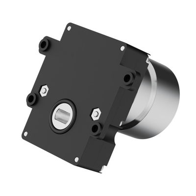 Compacto 30 Rpm Worm Gear motor DC 12v para válvula