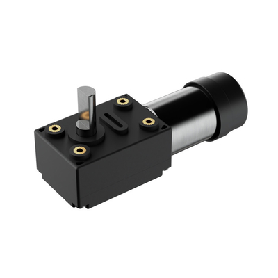 30 Rpm Stepper Automóvel DC Motor com caixa de engrenagens Worm