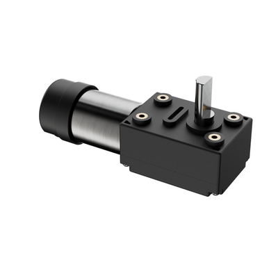 30 Rpm Stepper Automóvel DC Motor com caixa de engrenagens Worm